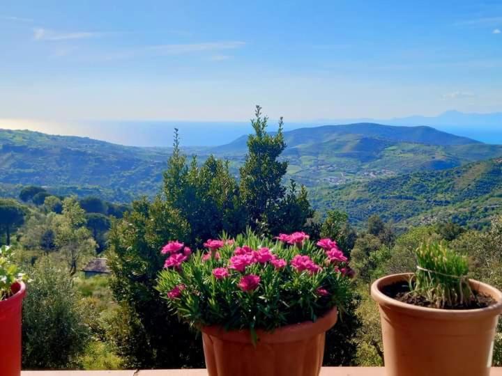 Casa Allorello Laureana Cilento Eksteriør bilde